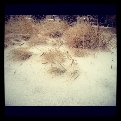 Photo: Sand dune in the city